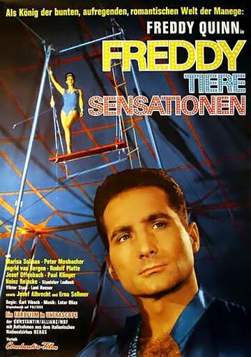 Freddy, Tiere, Sensationen (1964) постер