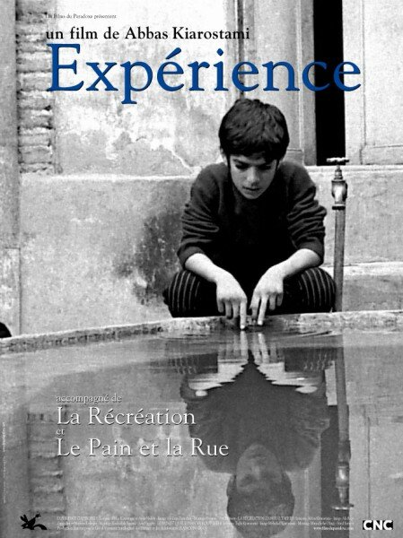 Жизненный опыт (1973) постер