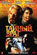 Тайный враг (1996) постер