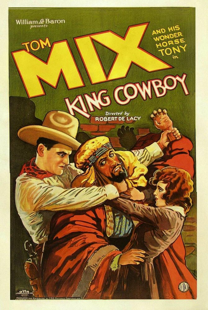 Король-ковбой (1928) постер