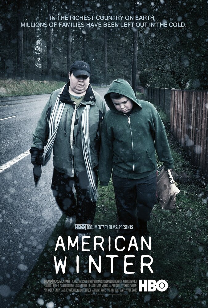 Американская зима (2013) постер