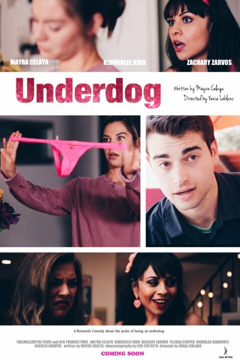 The Underdog (2015) постер