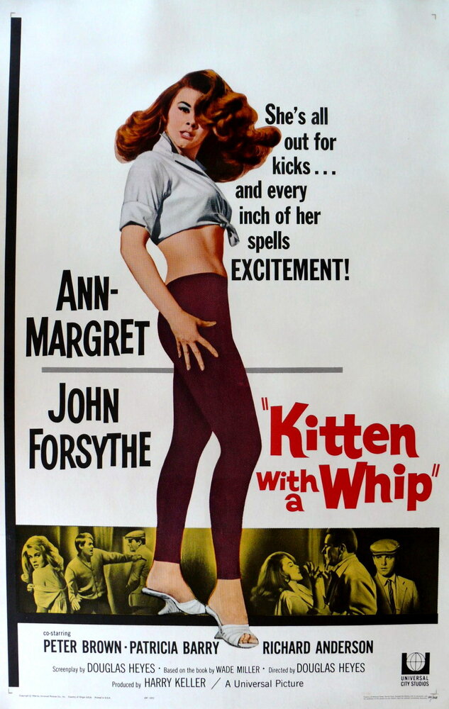 Кошечка с хлыстом (1964) постер